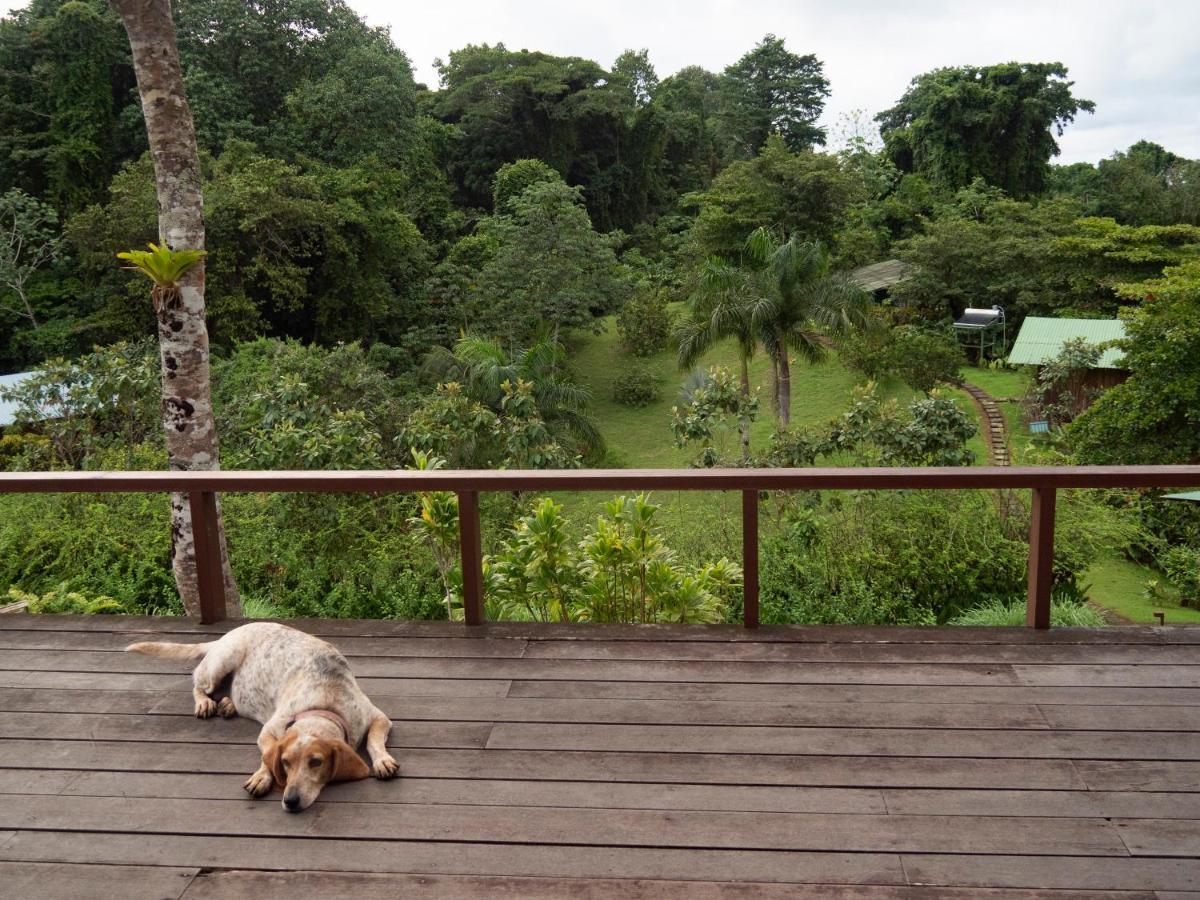 Hotel Finca Maresia Drake Bay Exterior photo