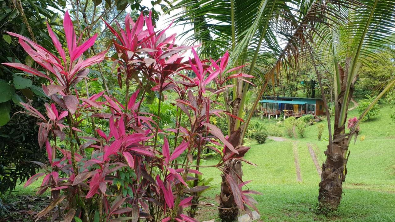 Hotel Finca Maresia Drake Bay Exterior photo