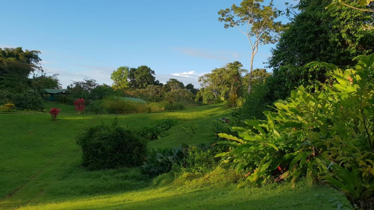 Hotel Finca Maresia Drake Bay Exterior photo